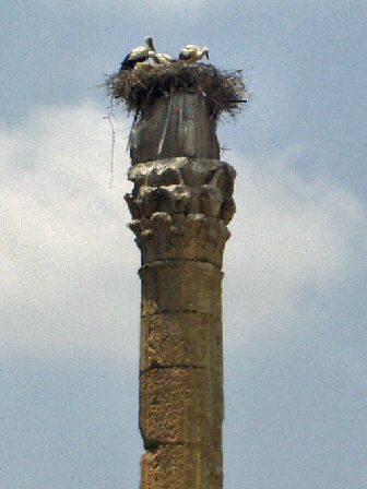 Silifke. Templo de Zeus.