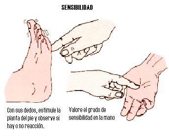 Sensibilidad (al tacto)