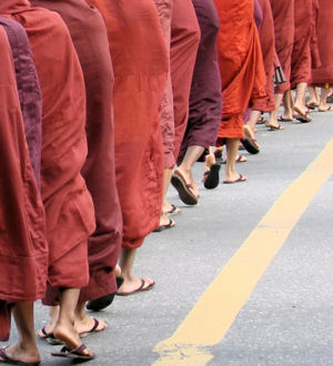 Monjes budistas en Rangún.