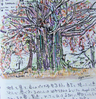 Cuaderno de viaje de Hiro. Dibujo de Myit-Son.