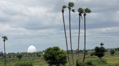 Paisaje entre Naba y Mandalay. Paisaje entre Naba y Mandalay.