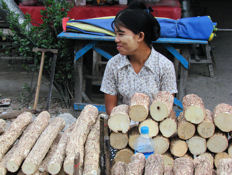 Vendedora de tanaka.