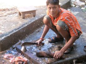 Pescatero de Sílchar.