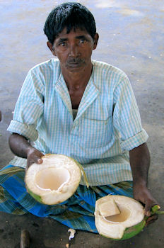 Coconero en Neermahal.