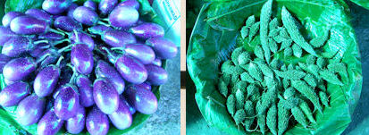 Mercado de Silchar. (Colores sin retocar).