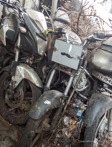 51047060512_e5c59a54b0